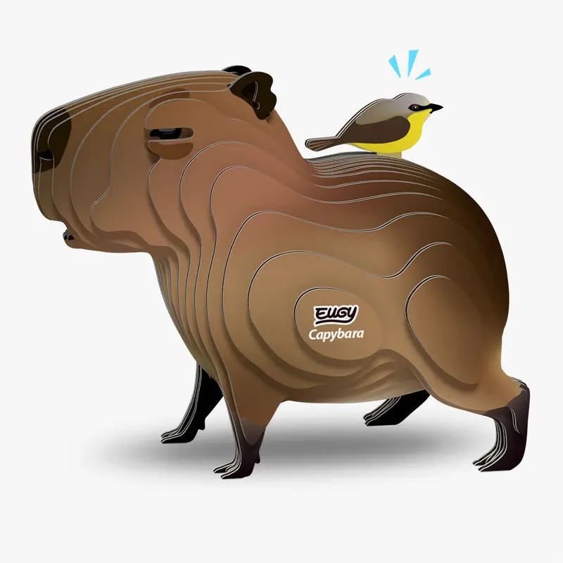 120 Capybara
