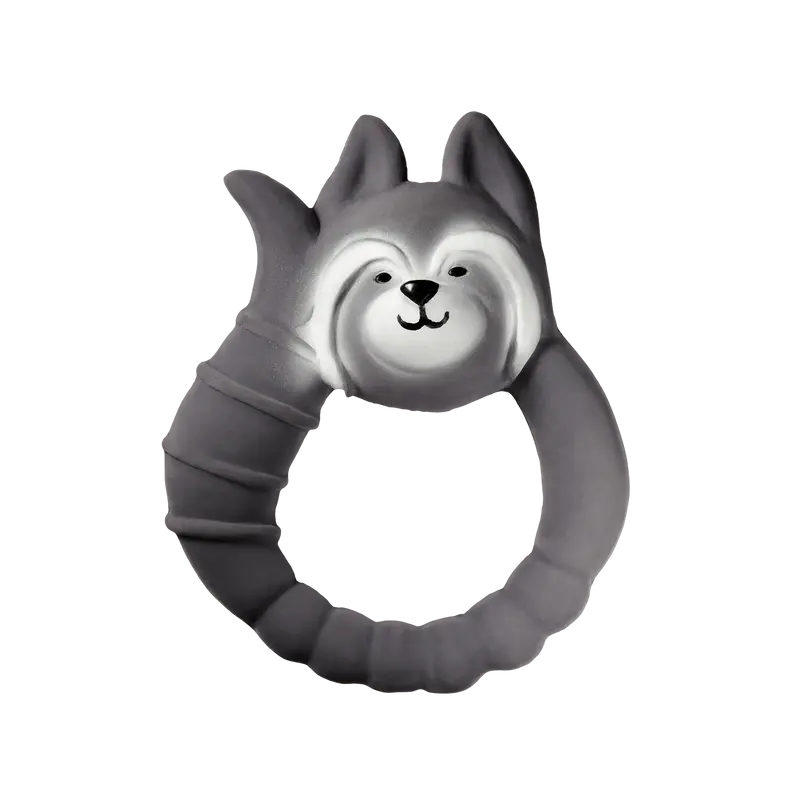 Anneau de dentition Raton laveur