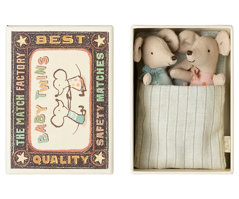 Bébés souris jumeaux dans leur boîte d'allumettes