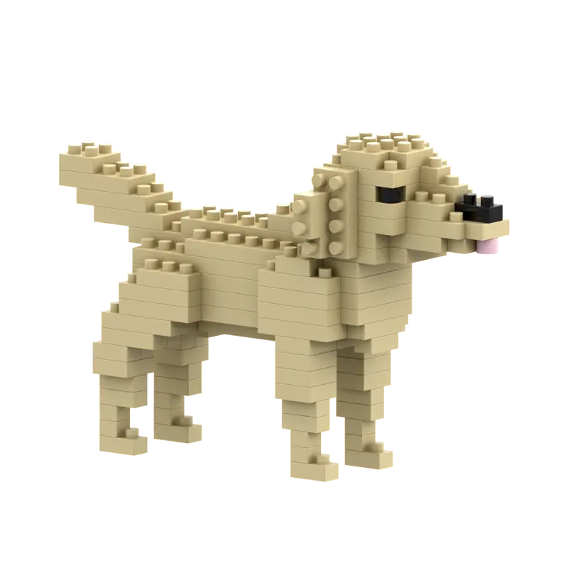 BRIXIES Golden Retriever