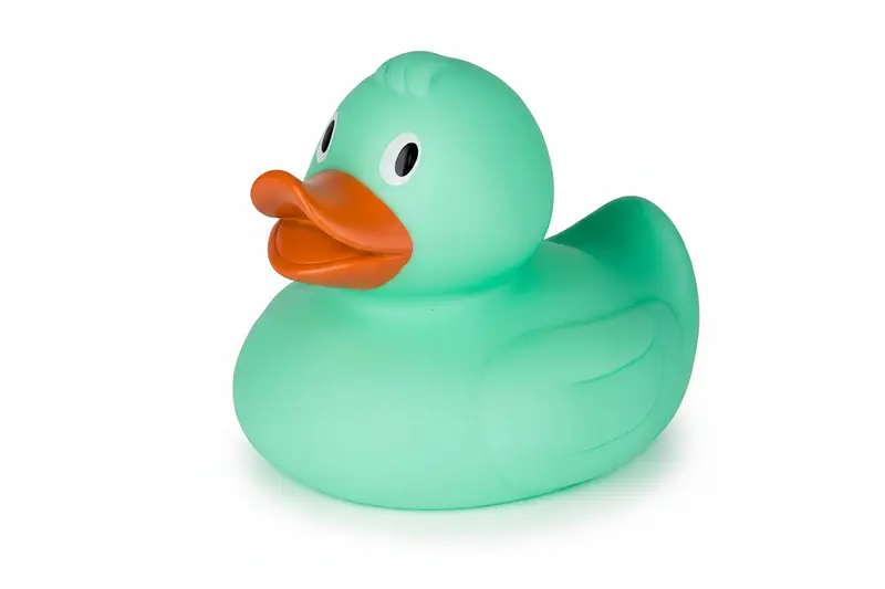 Canard Vert XL