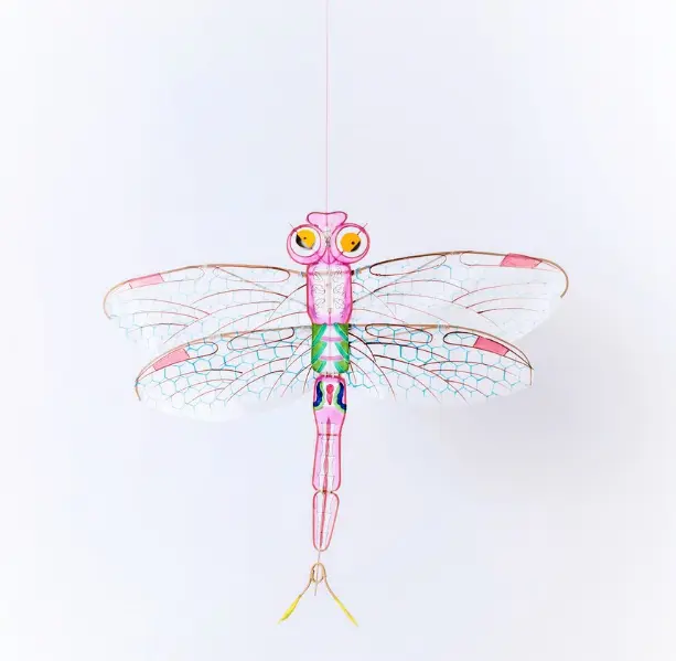 Cerf-volant libellule