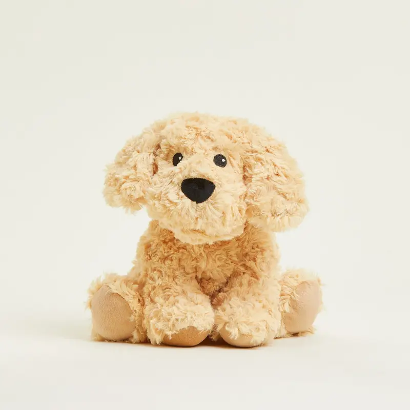 Chien Bouclé Bouillotte Warmies