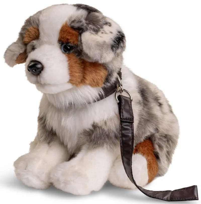 Chiot Berger Australien
