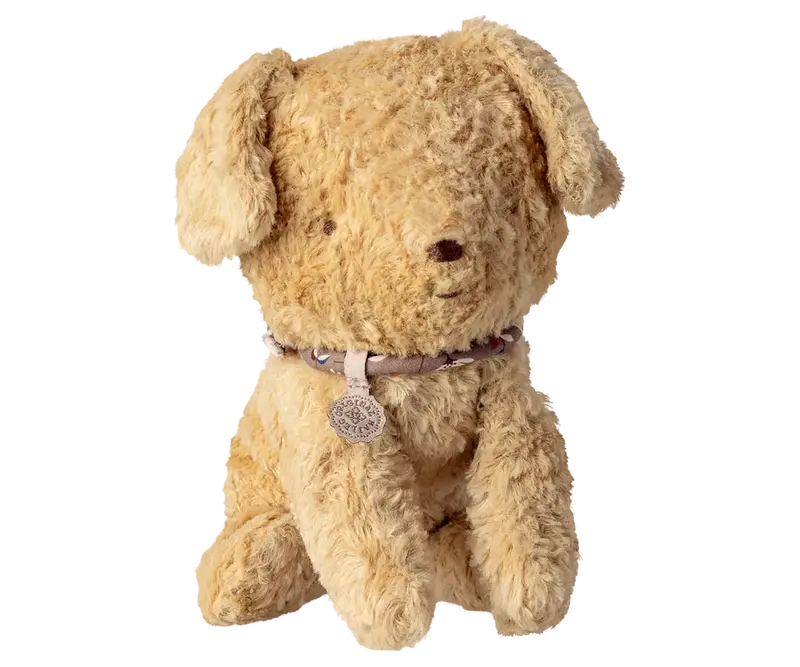 Chiot, Petit - Sable Léger