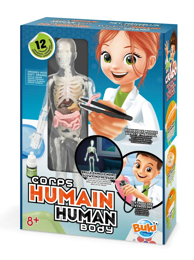 Corps Humain