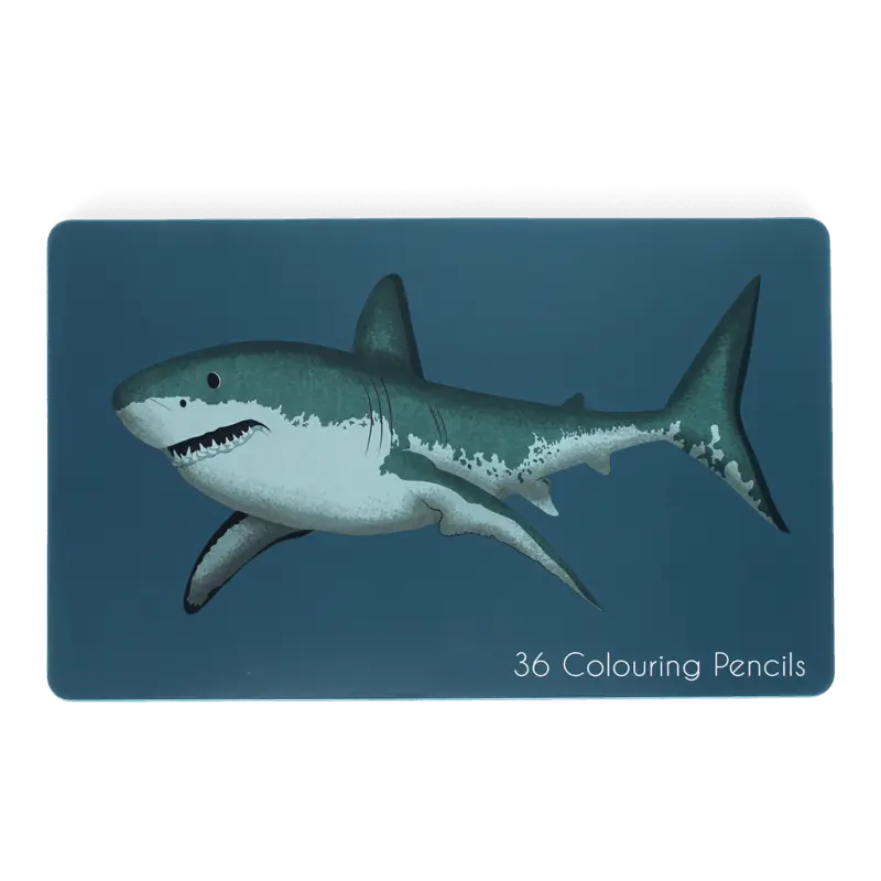 Crayons de couleur 36 - Boîte Requin dès 3 ans