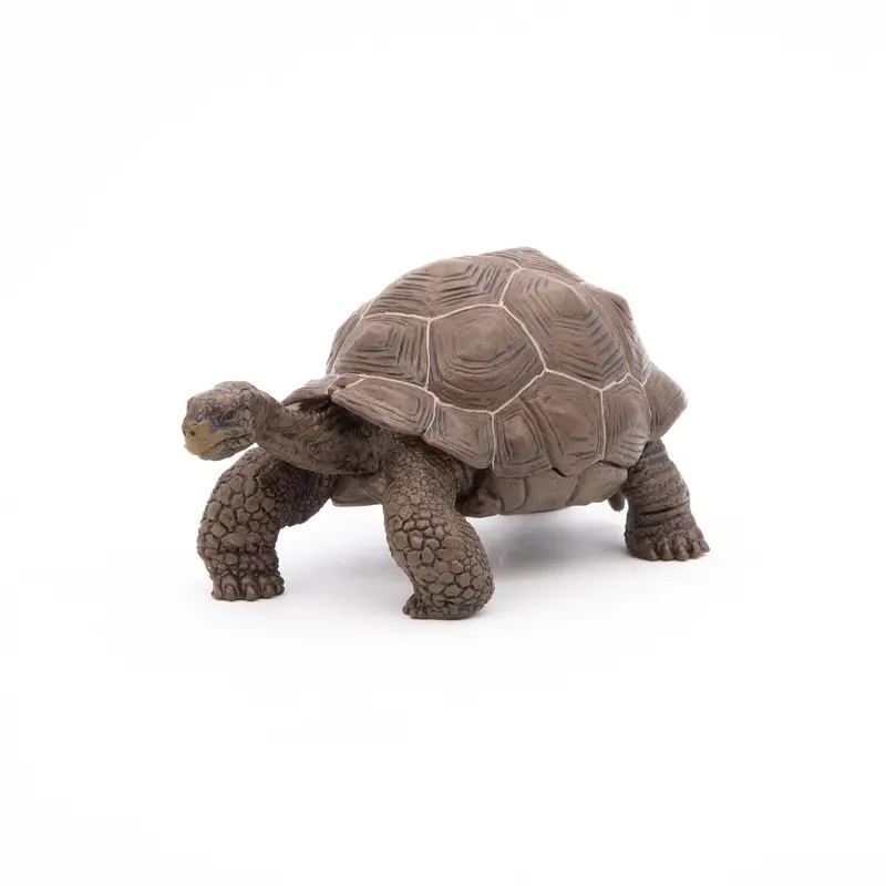 Figurine Tortue des Galápagos