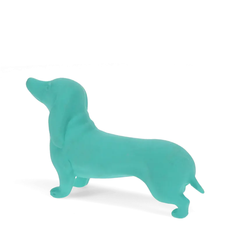 Gomme géante Teckel turquoise fantaisie