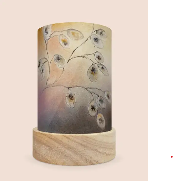 Image Light Wish - Money Plant - Illustration Baukje Exler