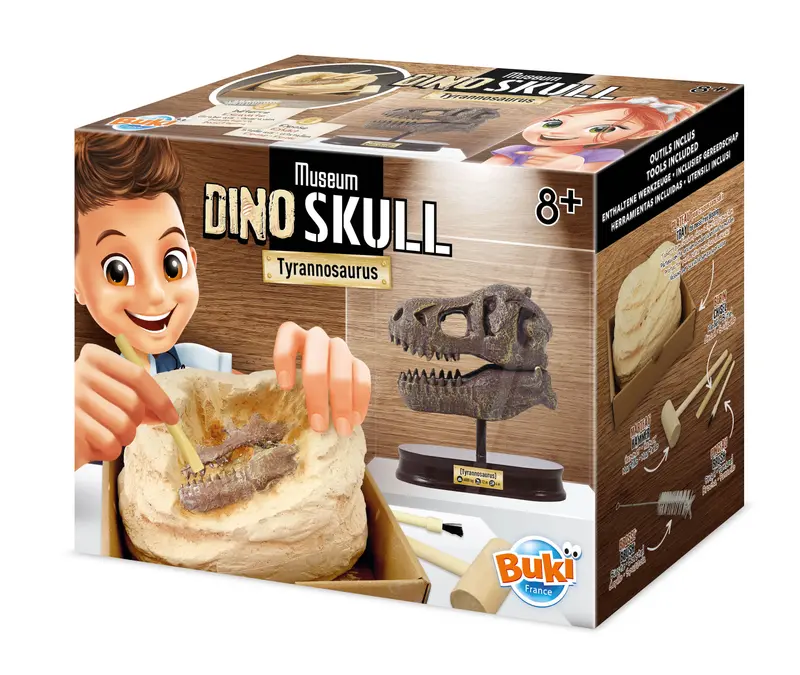 Kit de fouille crâne de dinosaure