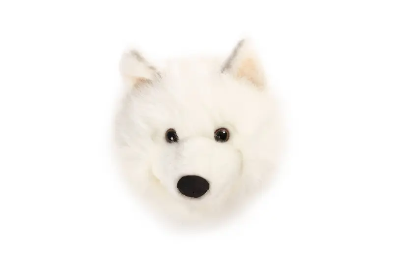 Lucy le Loup Blanc