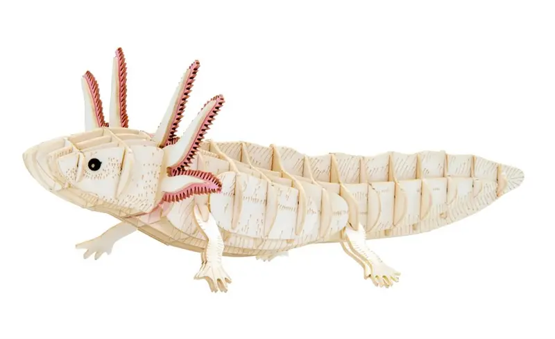 Modèle en Papier 3D - Axolotl