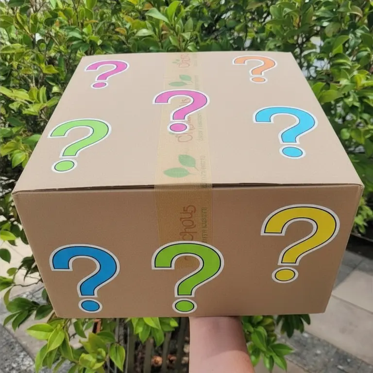 Mysterybox Small