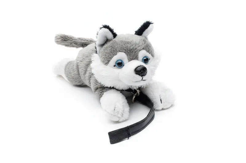 Peluche Husky Plushie (avec Laisse) - 22 cm (Longueur)