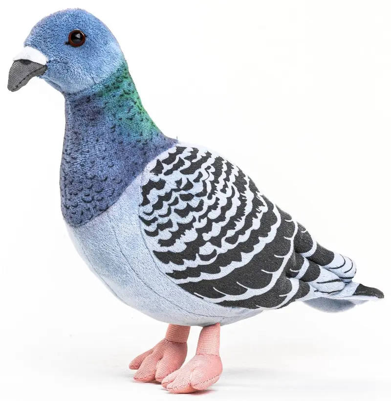 Peluche Pigeon réaliste