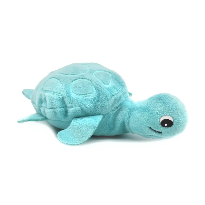 Pièce détachée bébé tortue aqua - Les Ptipotos