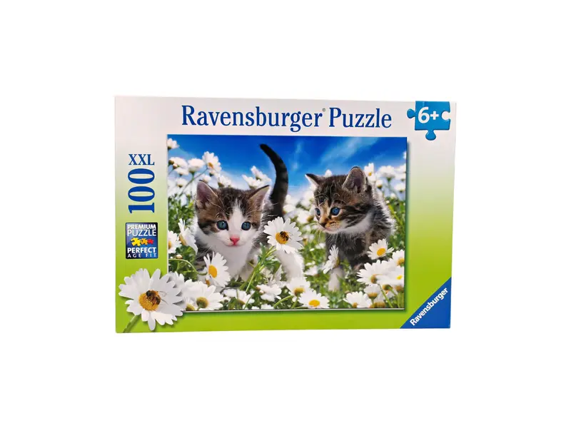 Puzzle - Chatons -  100 pièces