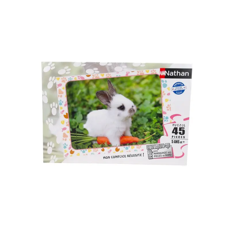Puzzle - Reine des Neiges 2 - 45 pièces