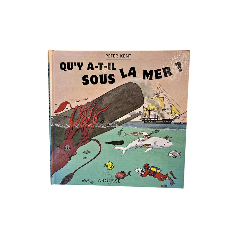 Qu'y a-t-il sous la mer ?