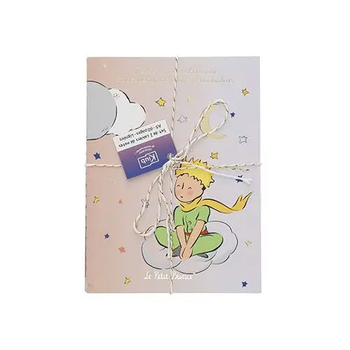 Set de 2 carnets A5 Petit Prince