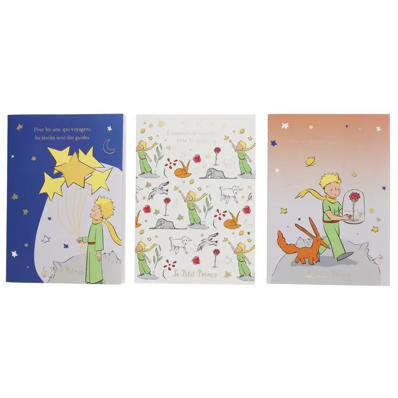 Set de 3 carnets A6 Petit Prince