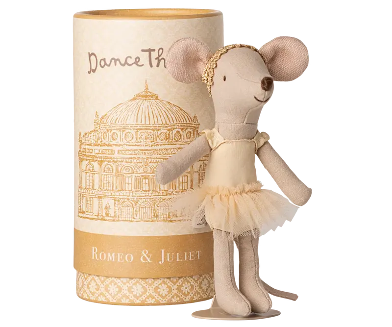 Souris danseuse de ballet grande sœur avec sa boîte