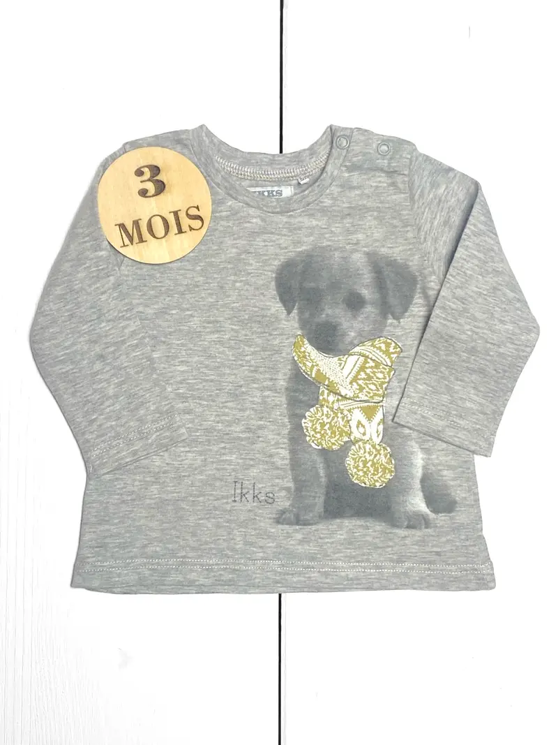 Tee-shirt, gris, IKKS
