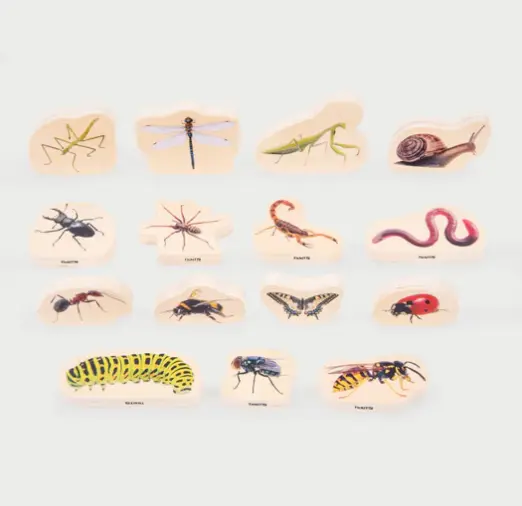 Tickit Insectes en bois - Lot de 15