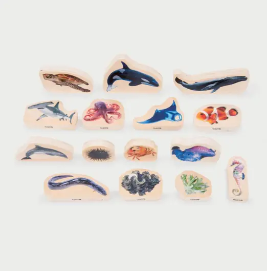 Tickit La vie Marine en bois - Lot de 15