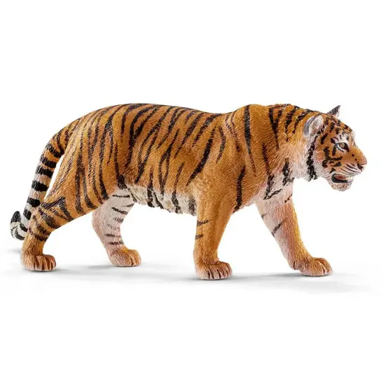 Tigre du Bengale