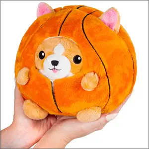 Undercover Corgi in Basketball