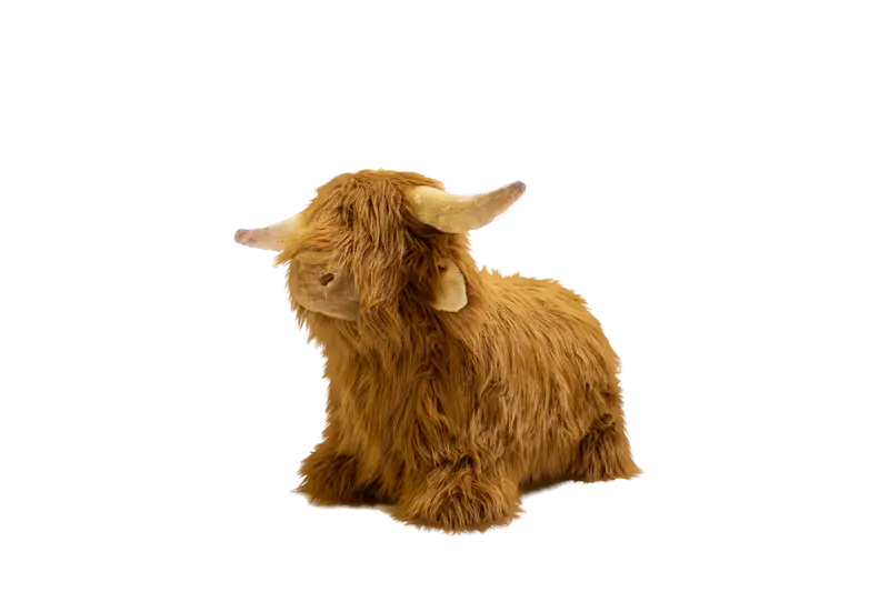 Vache Highland douce et rebondissante Wild & Soft